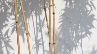 白色墙面竹子竹叶婆娑光影
